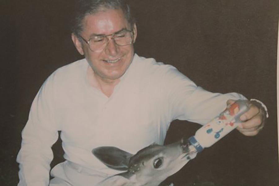 Diócesis de Querétaro